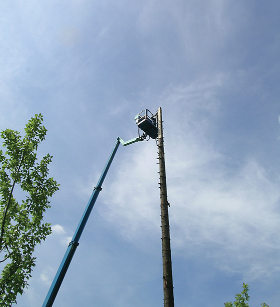 Landesgartenschau Leverkusen/ NRW